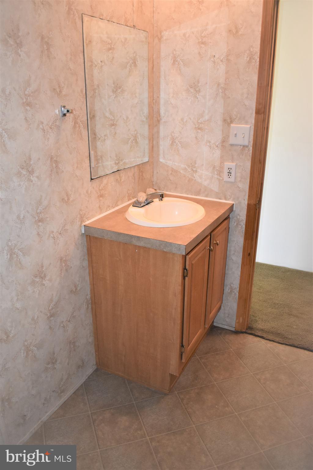1650 Cypress Branch Road Magnolia, DE 19962 - Photo 29 of 34 a utility room with a sink