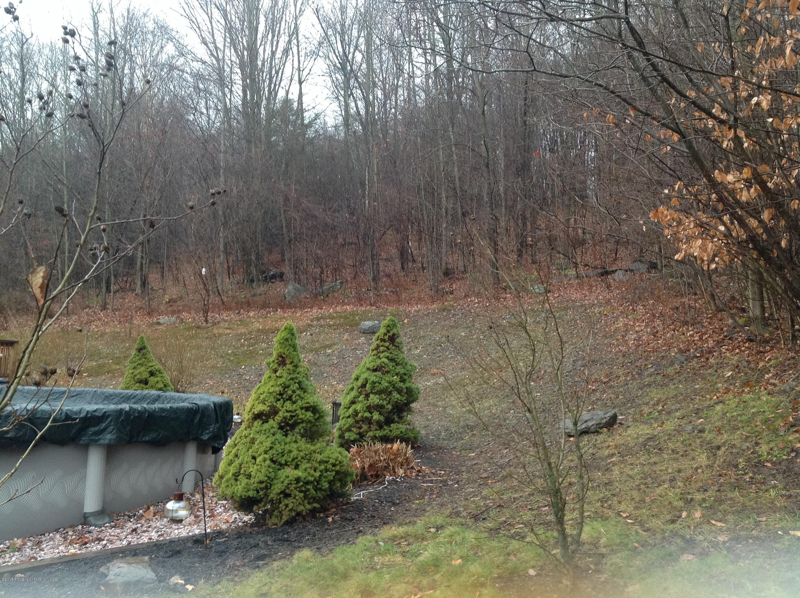 9 Woods Road Tunkhannock, PA 18657 - Photo 24 of 29 Yard