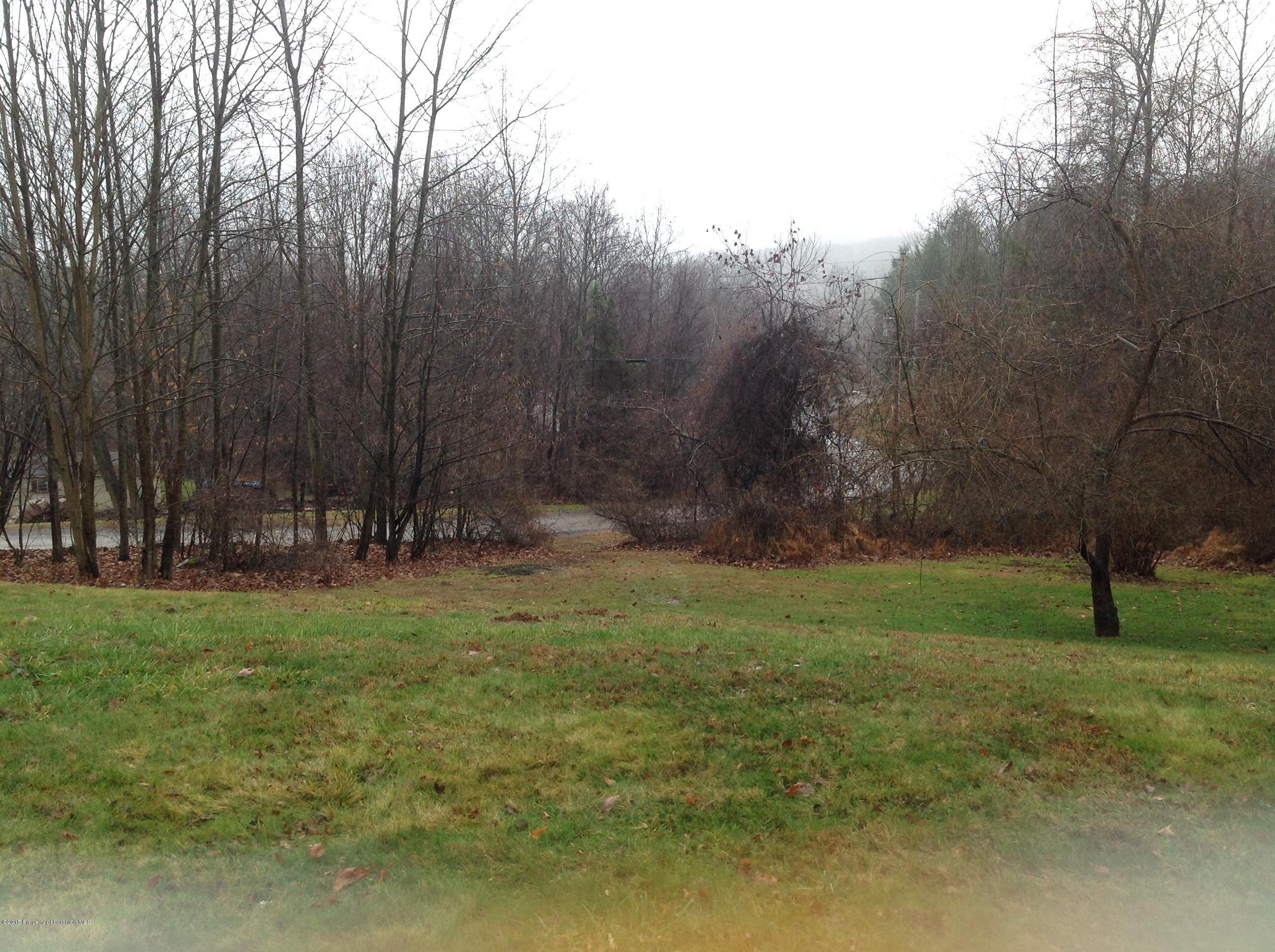 9 Woods Road Tunkhannock, PA 18657 - Photo 26 of 29 Yard