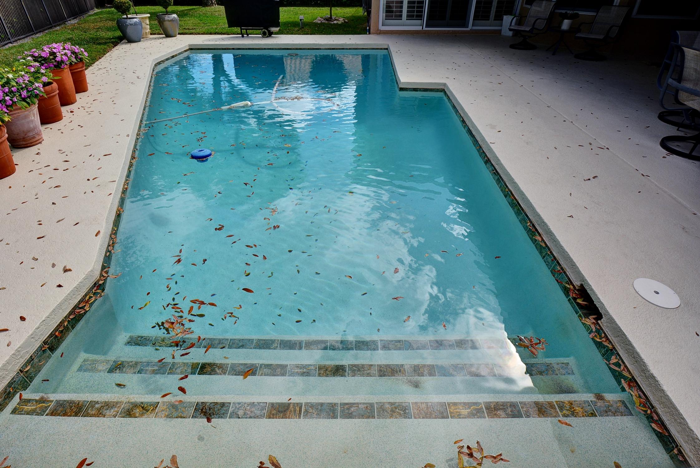 2800 Northwest 26th Court Boca Raton, FL 33434 - Photo 25 of 25 Pool