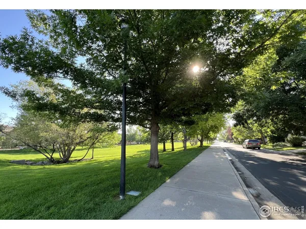 a view of a street both of side forest