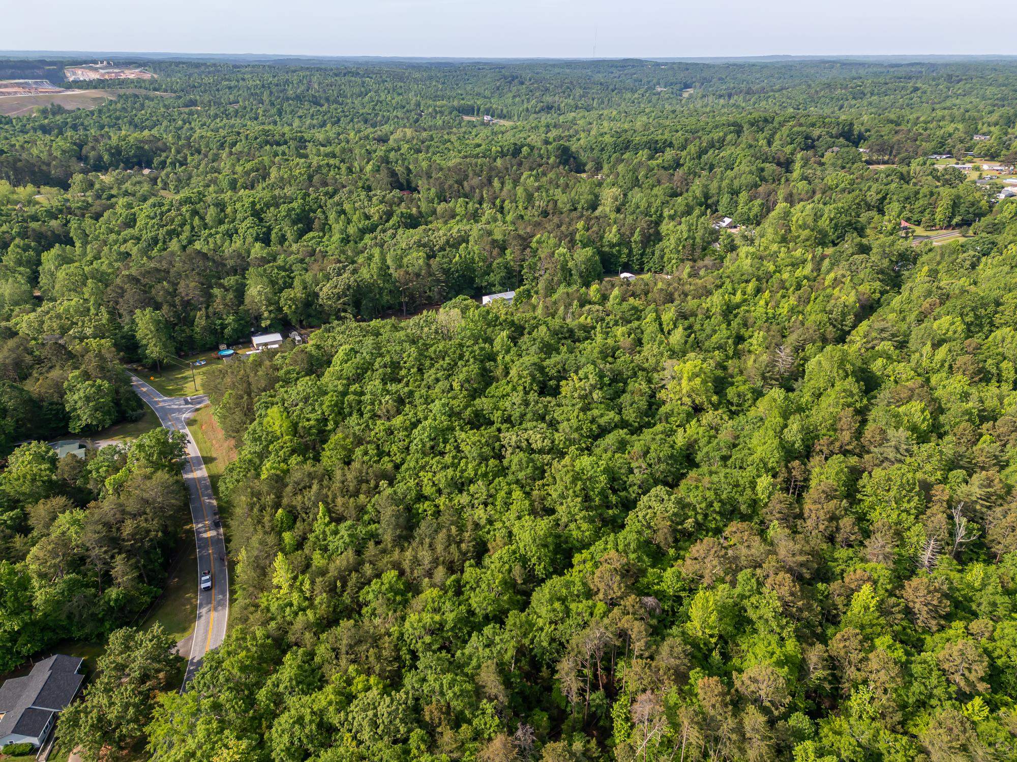 0 Goldmine Road Spartanburg, SC 29302 - Photo 5 of 8 Gallery Image 5
