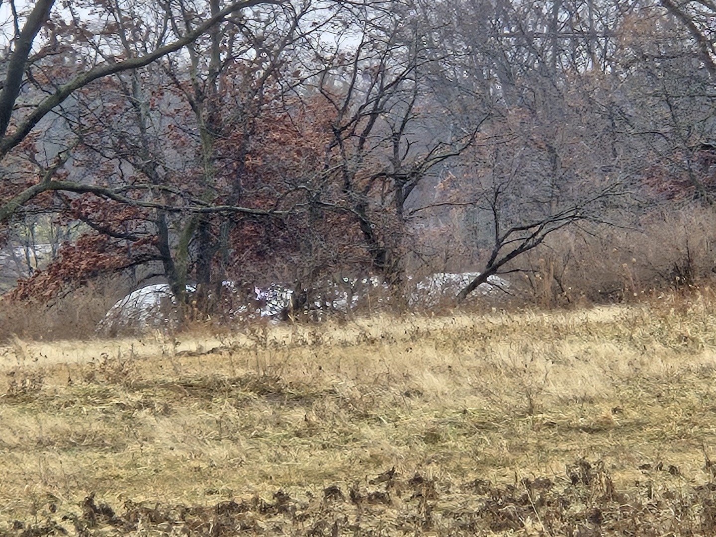 3303 East Exchange Street Crete, IL 60417 - Photo 31 of 38 a view of yard covered with snow