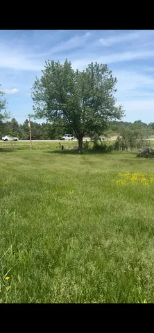 a view of an ocean from a yard