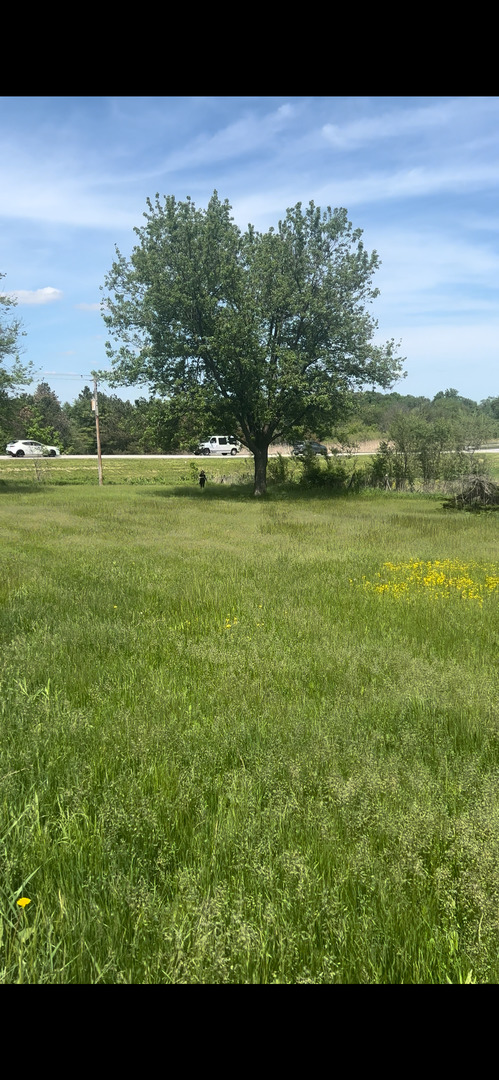 3303 East Exchange Street Crete, IL 60417 - Photo 35 of 38 a view of an ocean from a yard