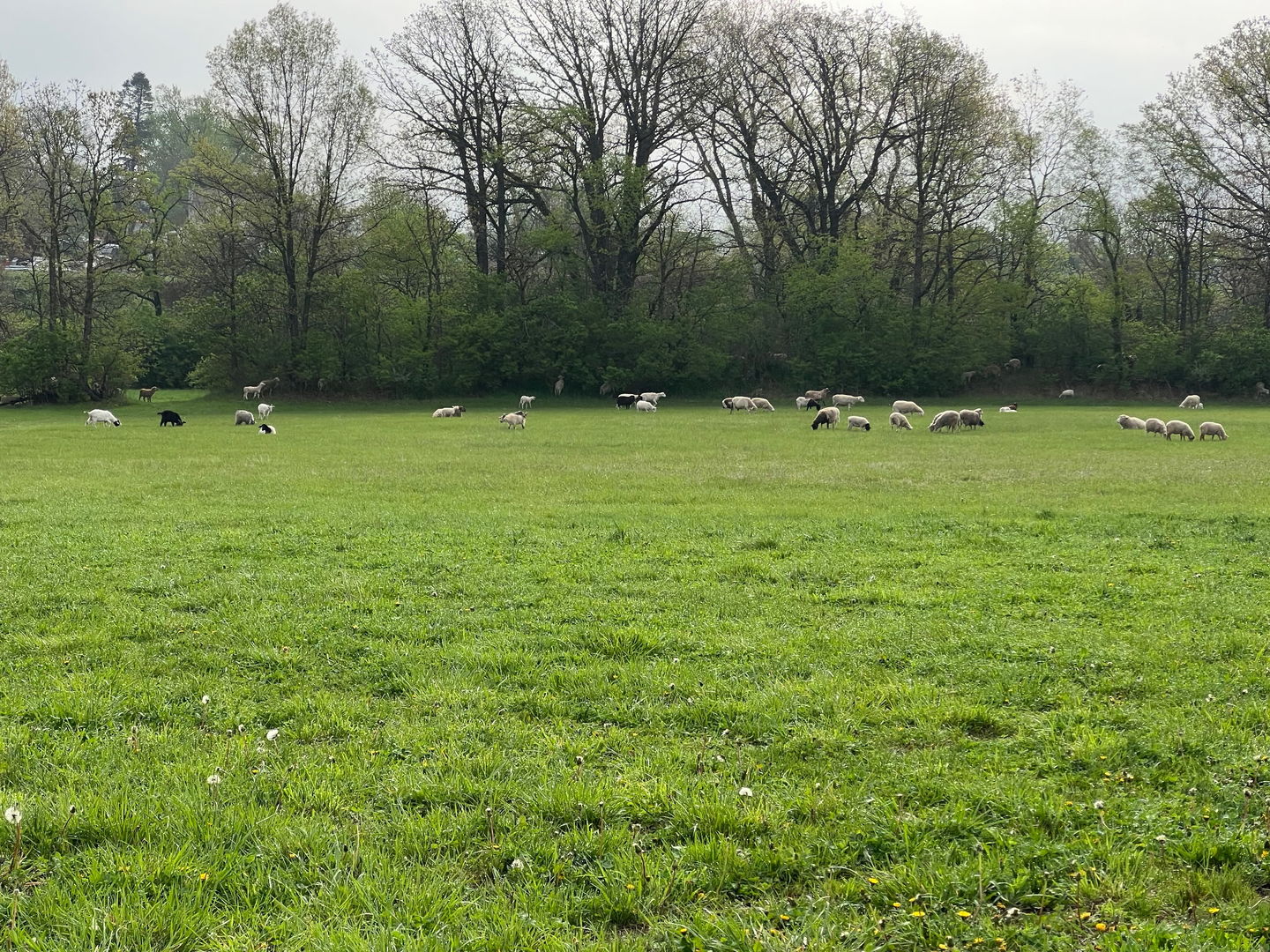 3303 East Exchange Street Crete, IL 60417 - Photo 36 of 38 a view of outdoor space and yard