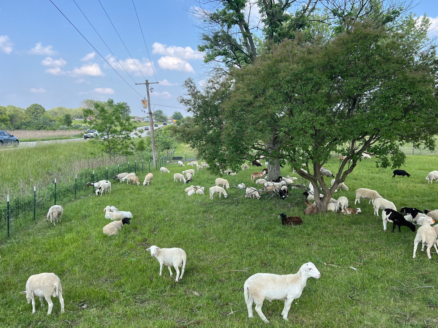 3303 East Exchange Street Crete, IL 60417 - Photo 37 of 38 a backyard of a house with table and chairs