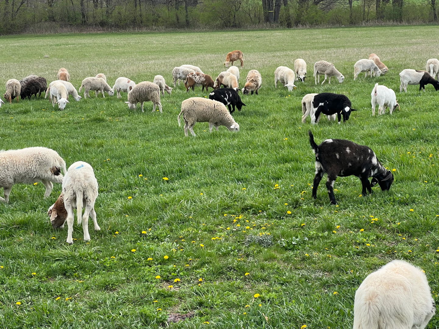3303 East Exchange Street Crete, IL 60417 - Photo 38 of 38 a front view of a golf course with chairs