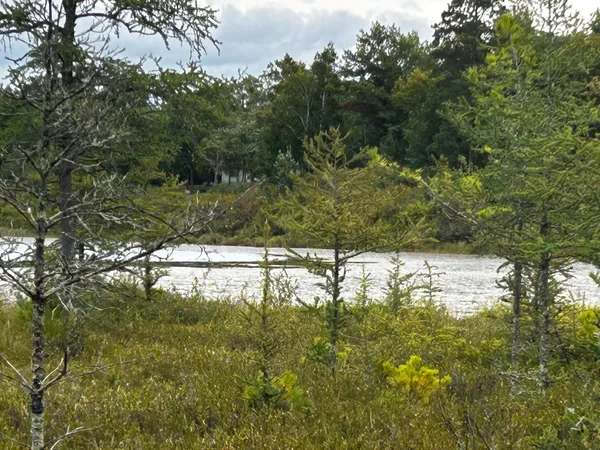 $95,000 | Tbd Tbd Kestrel Trail Northwest, Hackensack, MN 56452