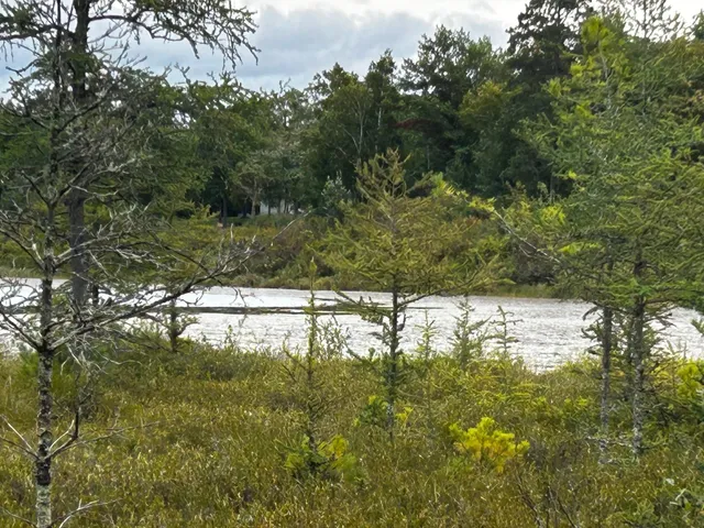 $95,000 | Tbd Tbd Kestrel Trail Northwest, Hackensack, MN 56452