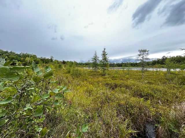 $95,000 | Tbd Tbd Kestrel Trail Northwest, Hackensack, MN 56452