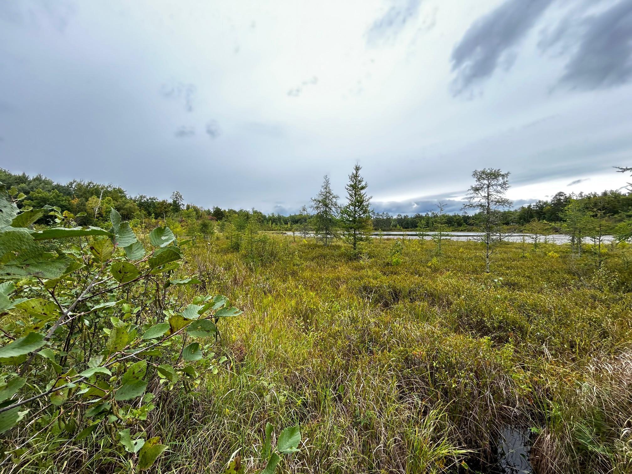 Tbd Tbd Kestrel Trail Northwest Hackensack, MN 56452 - Photo 3 of 7