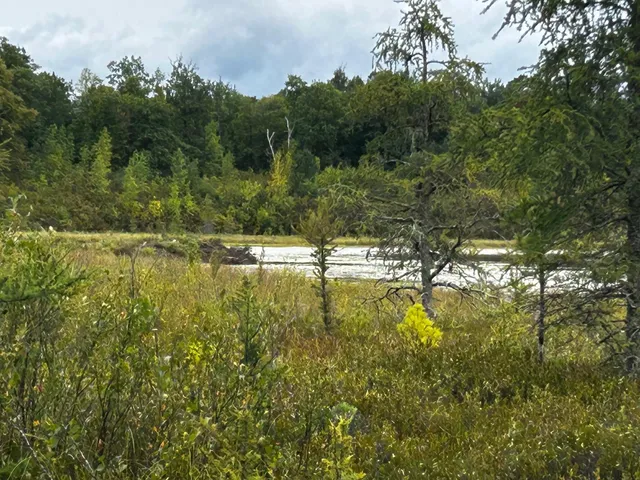 $95,000 | Tbd Tbd Kestrel Trail Northwest, Hackensack, MN 56452