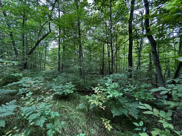 $95,000 | Tbd Tbd Kestrel Trail Northwest, Hackensack, MN 56452