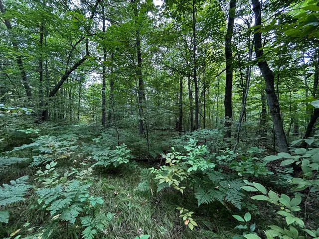 $95,000 | Tbd Tbd Kestrel Trail Northwest, Hackensack, MN 56452