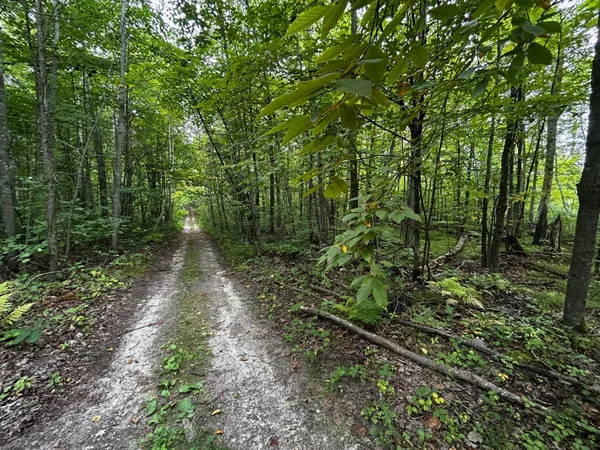 $95,000 | Tbd Tbd Kestrel Trail Northwest, Hackensack, MN 56452