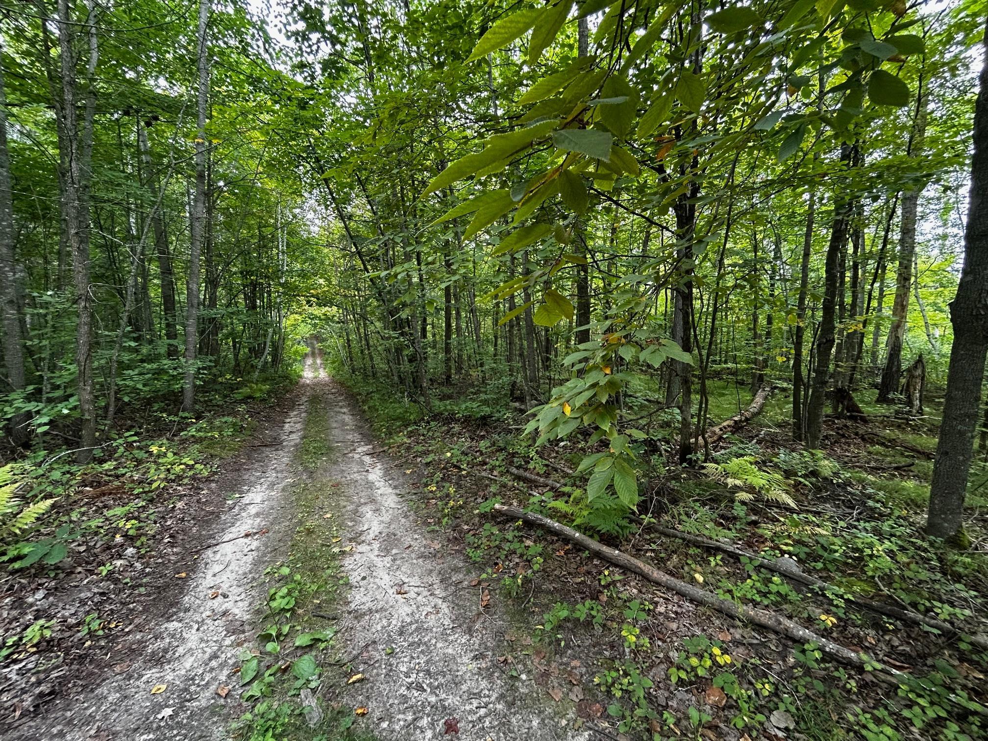 Tbd Tbd Kestrel Trail Northwest Hackensack, MN 56452 - Photo 6 of 7