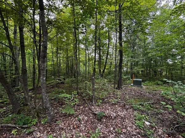 $95,000 | Tbd Tbd Kestrel Trail Northwest, Hackensack, MN 56452