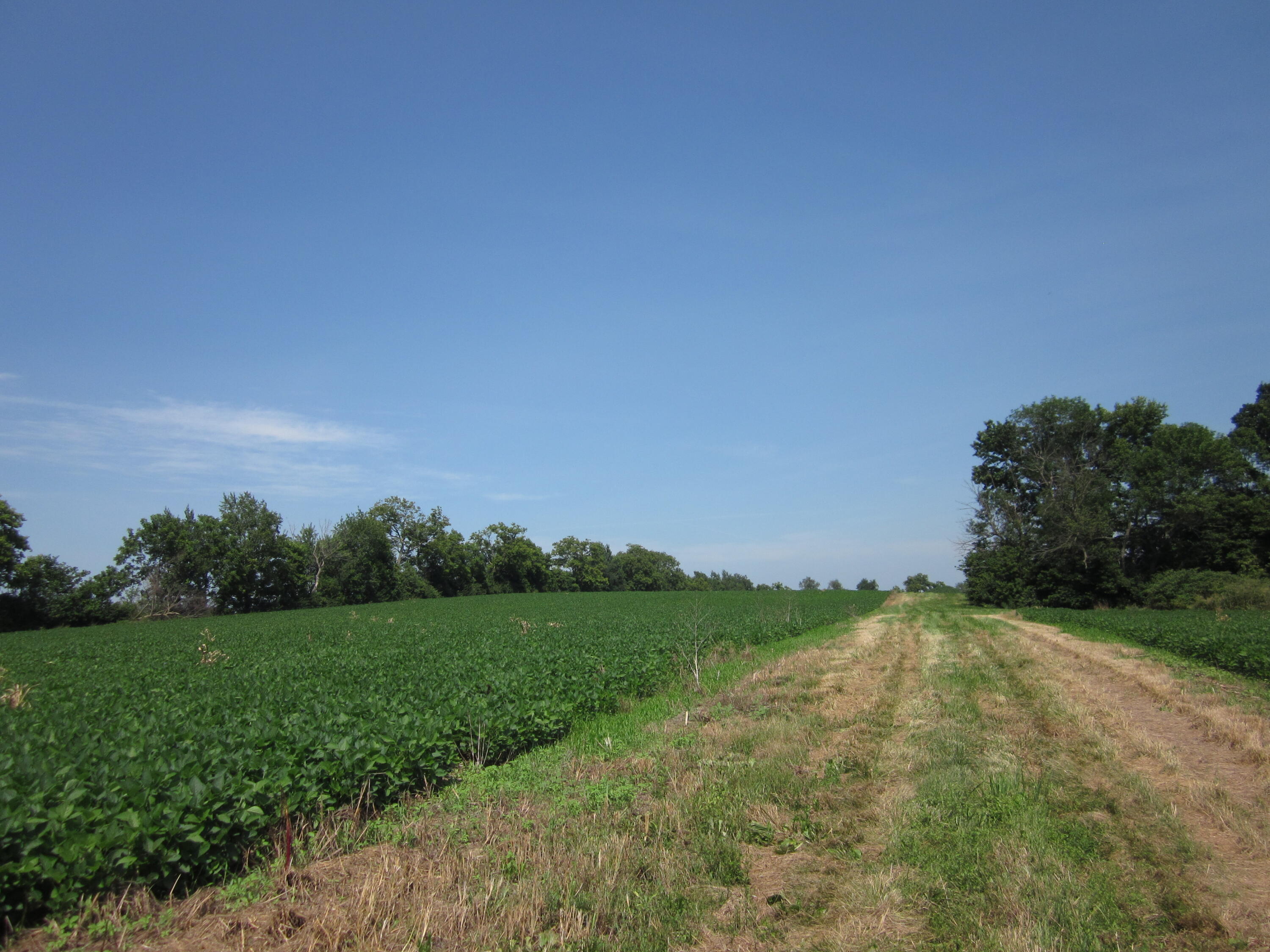 3115 Houston Antioch Road Lexington, KY 40516 - Photo 48 of 62 IMG_7828