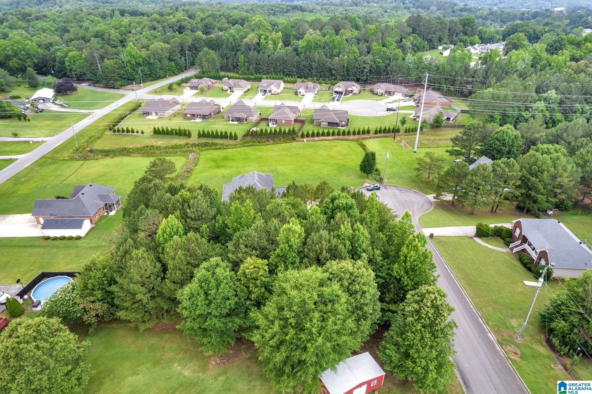 0 Valley View Lane, Unit 1 Oneonta, AL 35121 - Photo 3 of 13