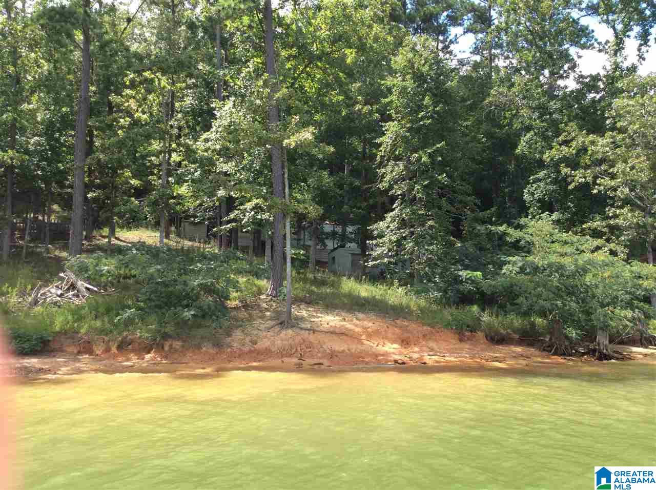 Co Rd 875-lot#5 Southeast Co Road, Unit LOT#5 Crane Hill, AL 35053 - Photo 1 of 5