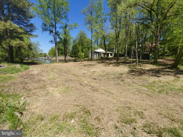 a view of outdoor space with trees