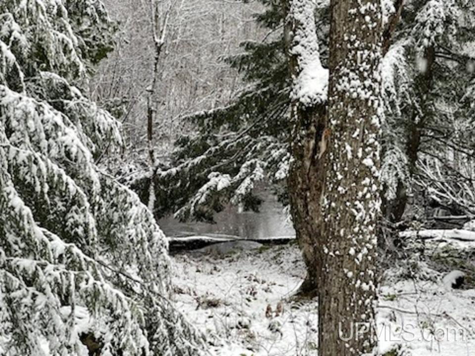 94-acres Peter White Road Deerton, MI 49822 - Photo 24 of 24