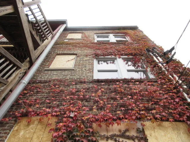 a view of an outdoor space