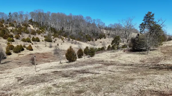 $220,000 | 3 Methodist Ridge Road, Telford, TN 37690