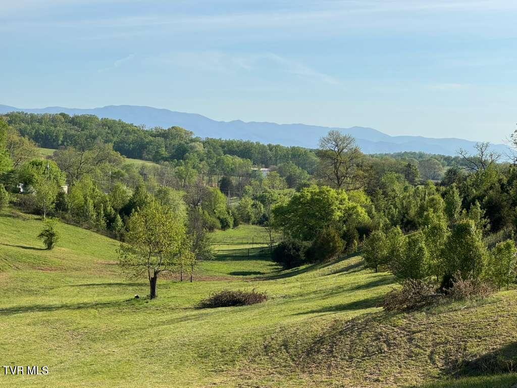 130 Methodist Ridge Road Telford, TN 37690 - Photo 1 of 17 1