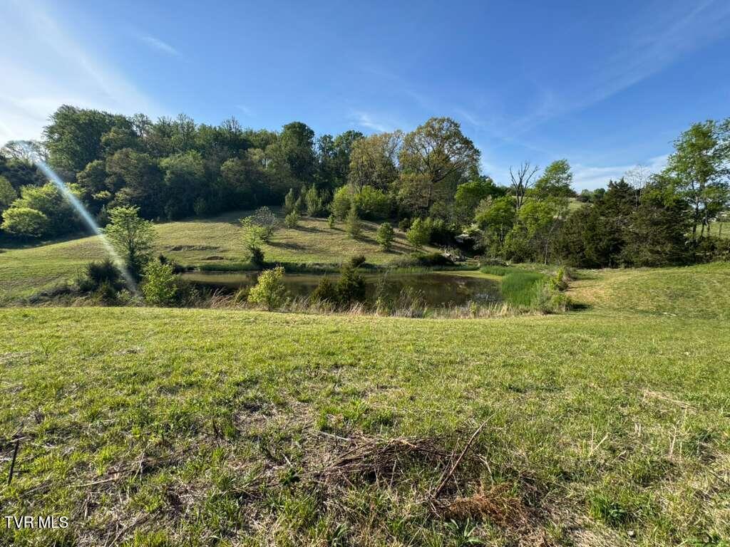 130 Methodist Ridge Road Telford, TN 37690 - Photo 11 of 17 12