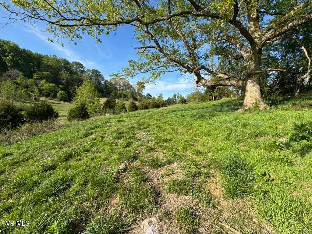130 Methodist Ridge Road Telford, TN 37690 - Photo 12 of 17 13