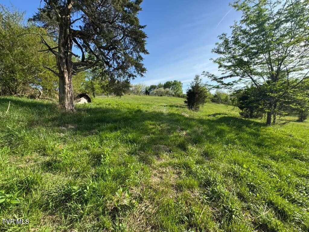 130 Methodist Ridge Road Telford, TN 37690 - Photo 13 of 17 14
