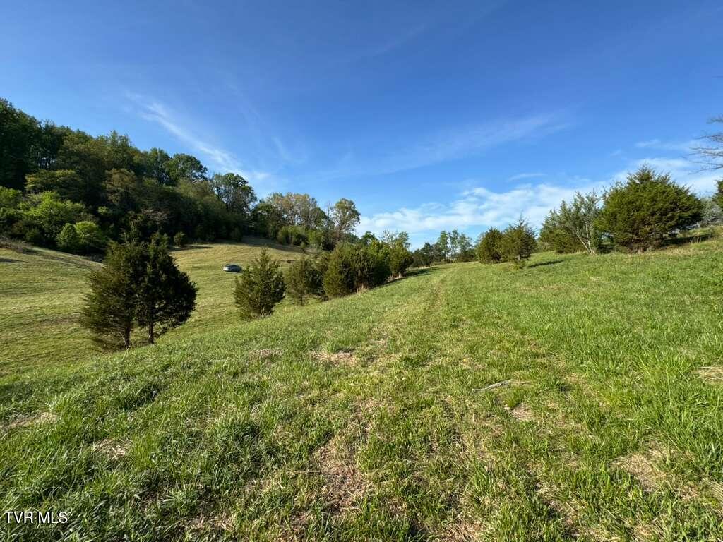 130 Methodist Ridge Road Telford, TN 37690 - Photo 14 of 17 15
