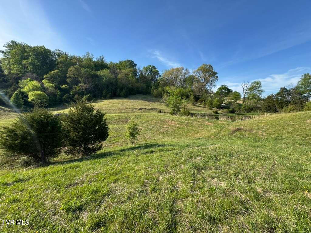130 Methodist Ridge Road Telford, TN 37690 - Photo 15 of 17 16