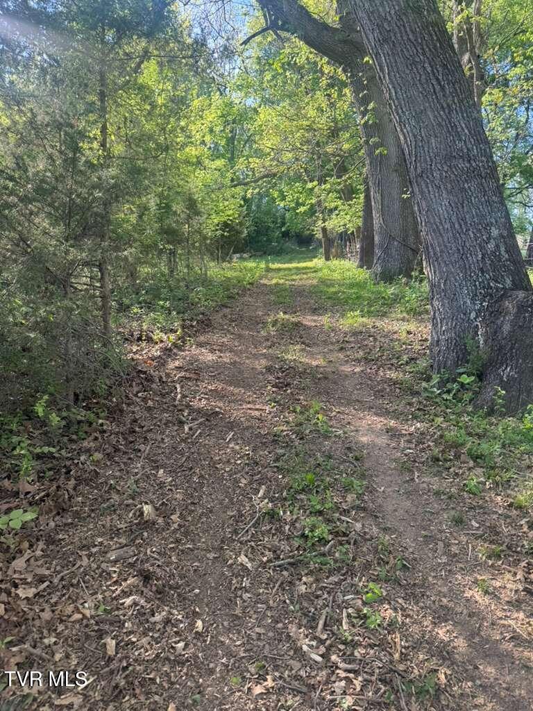 130 Methodist Ridge Road Telford, TN 37690 - Photo 16 of 17 17