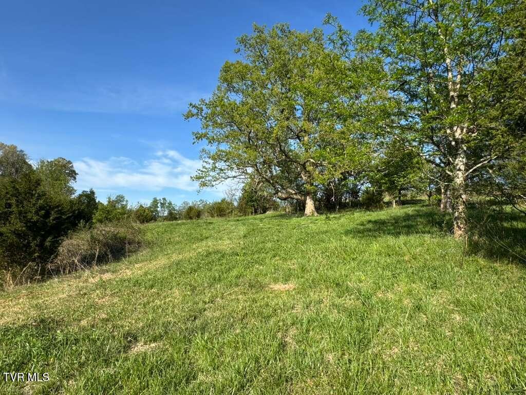 130 Methodist Ridge Road Telford, TN 37690 - Photo 17 of 17 18