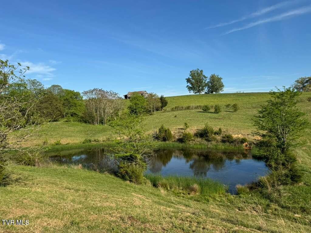 130 Methodist Ridge Road Telford, TN 37690 - Photo 4 of 17 3
