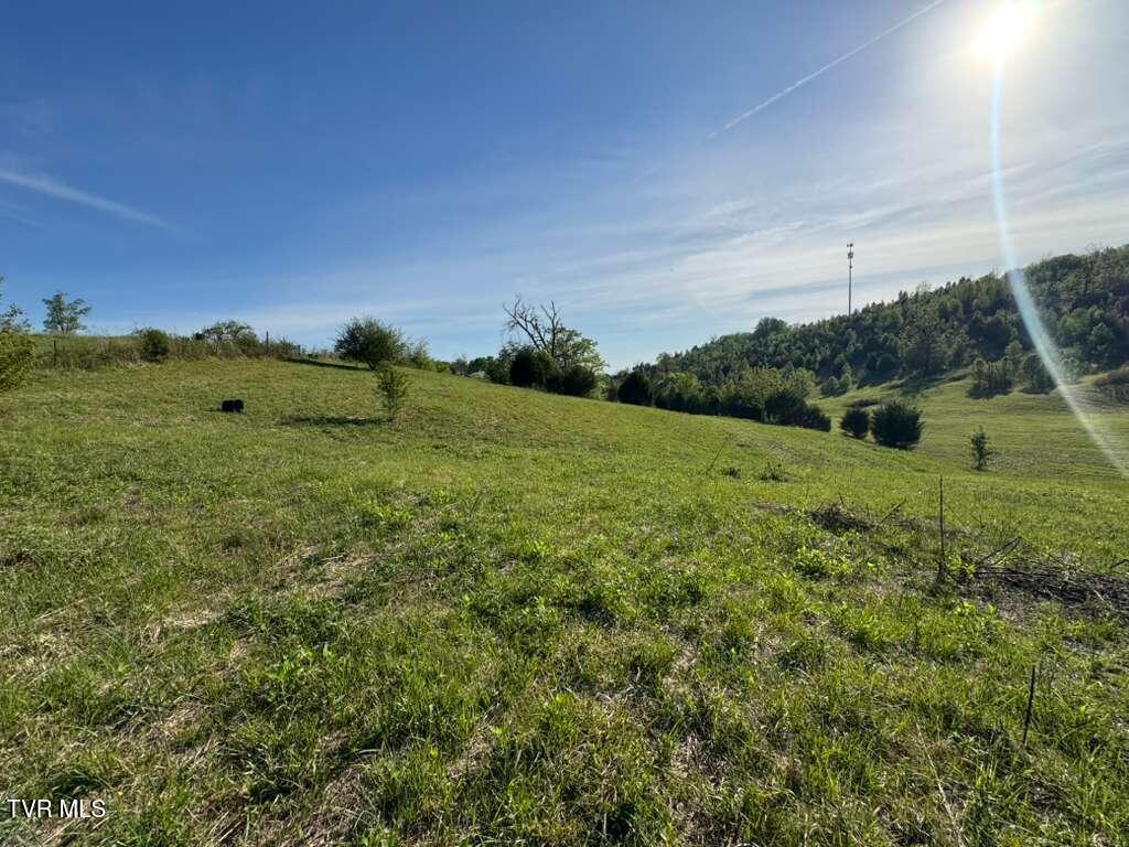 130 Methodist Ridge Road Telford, TN 37690 - Photo 7 of 17 6