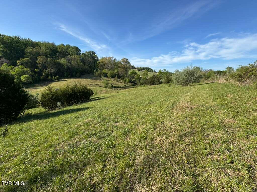 130 Methodist Ridge Road Telford, TN 37690 - Photo 8 of 17 7