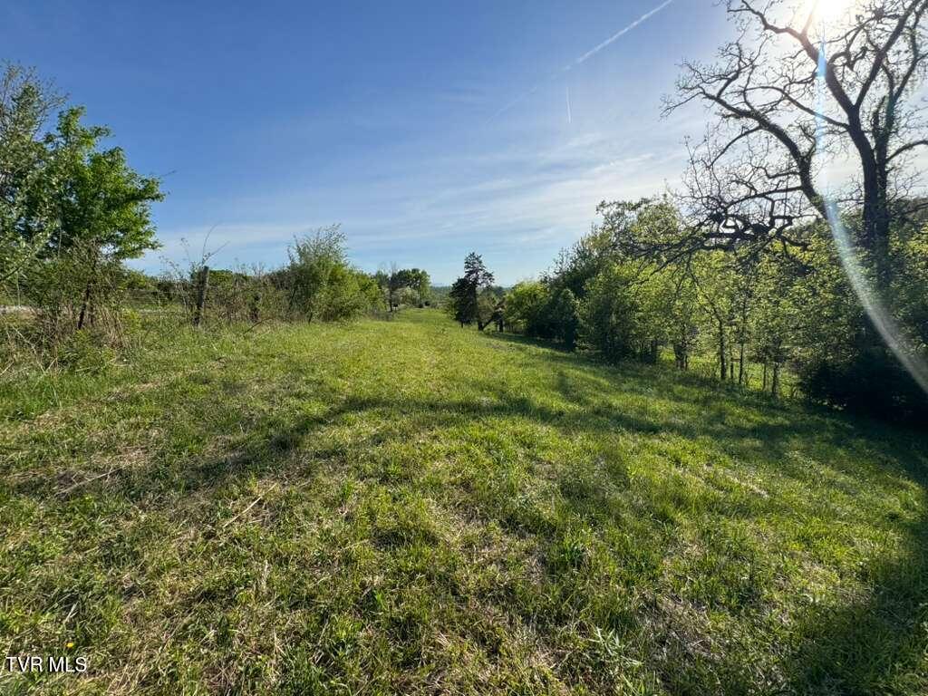 130 Methodist Ridge Road Telford, TN 37690 - Photo 9 of 17 8