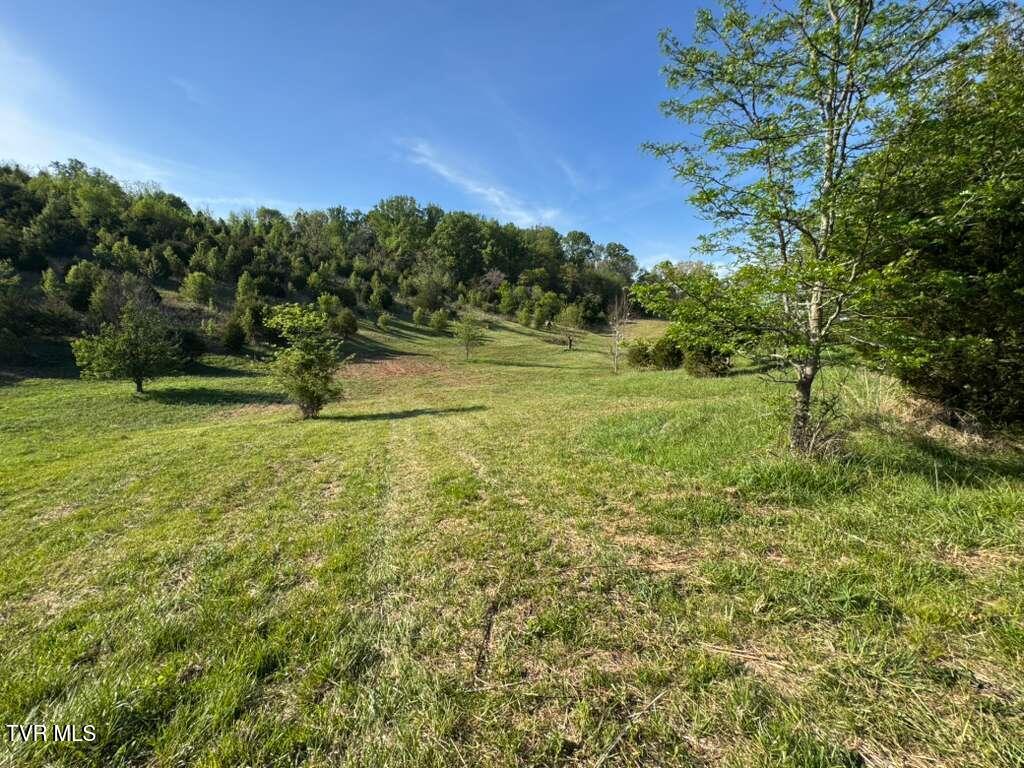 130 Methodist Ridge Road Telford, TN 37690 - Photo 10 of 17 11