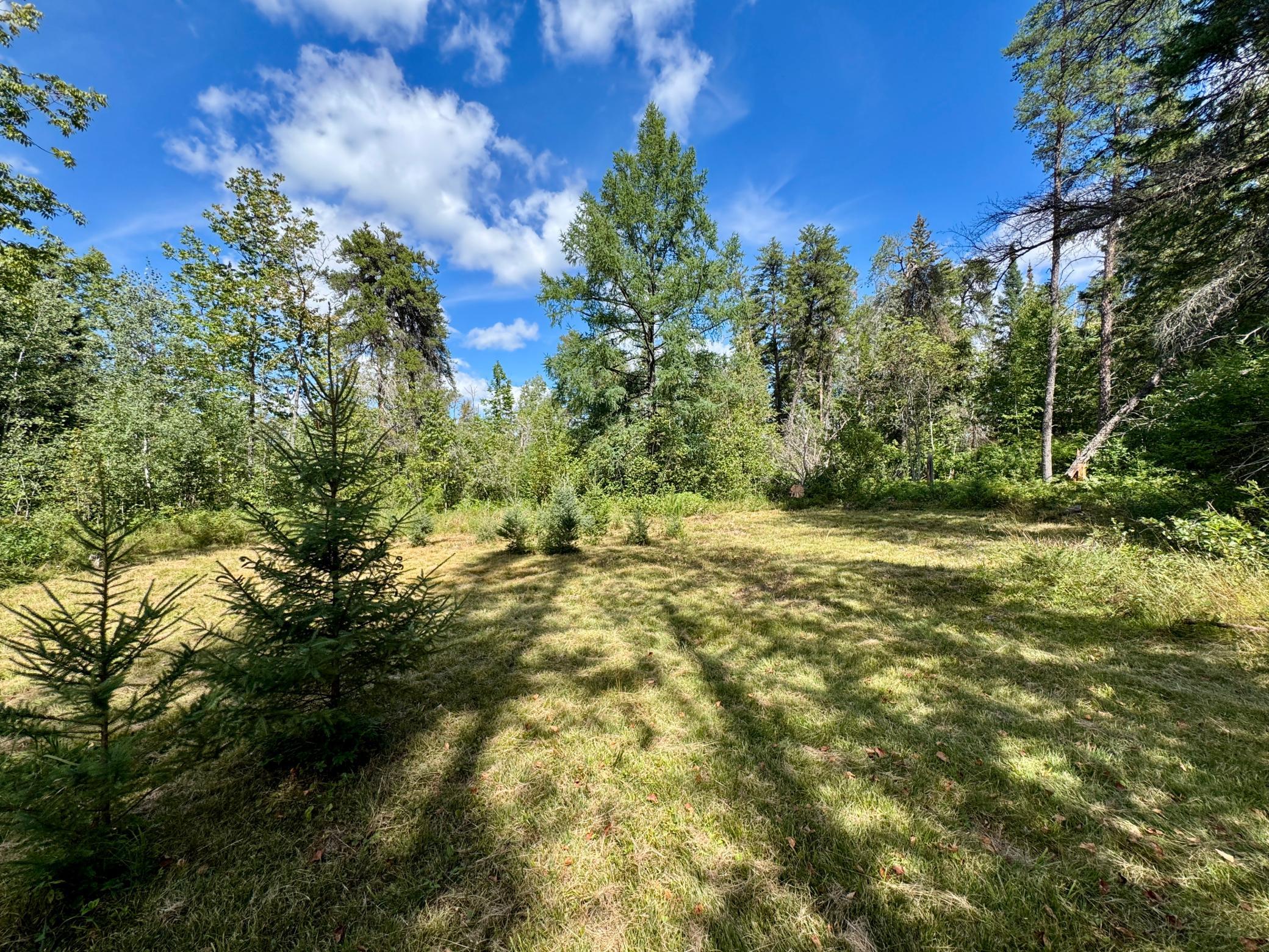 Tbd River Forest Road Roseau, MN 56751 - Photo 6 of 7 Gallery Image 6