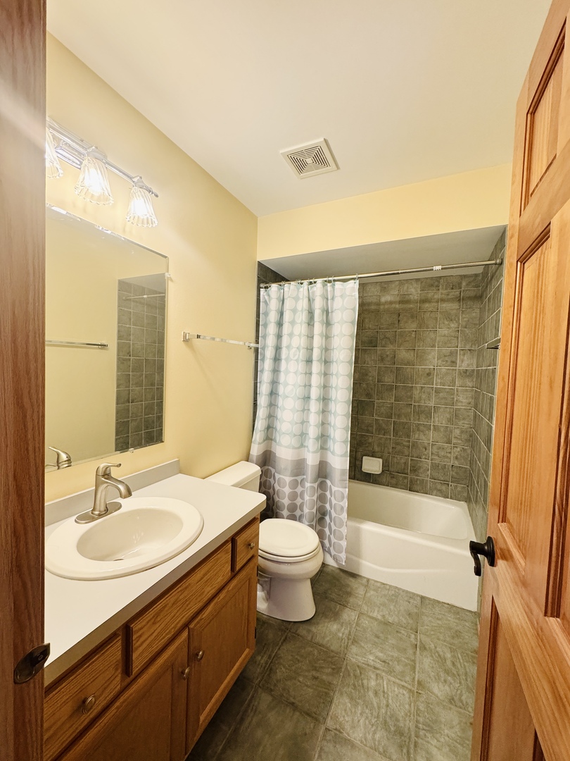 19245 Tramore Lane Mokena, IL 60448 - Photo 14 of 21 a bathroom with a sink a toilet and shower
