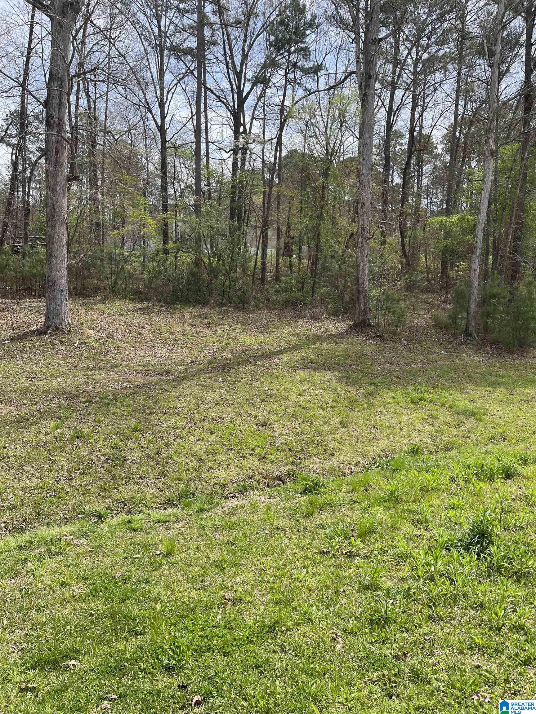 20481 Castle Rdg Road McCalla, AL 35111 - Photo 3 of 7