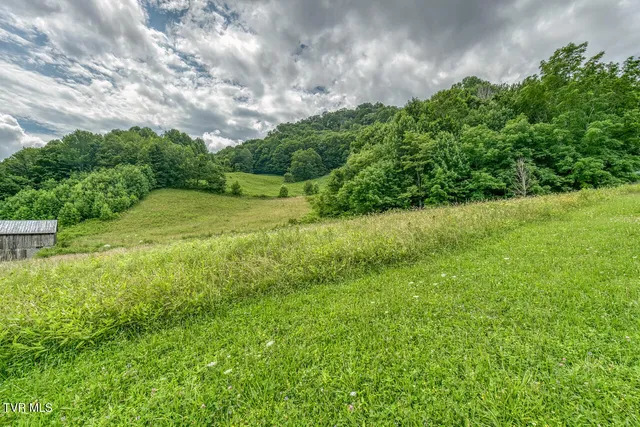 $325,000 | 427 Cove Creek Road, Roan Mountain, TN 37687
