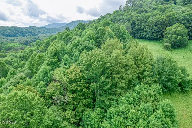 $325,000 | 427 Cove Creek Road, Roan Mountain, TN 37687