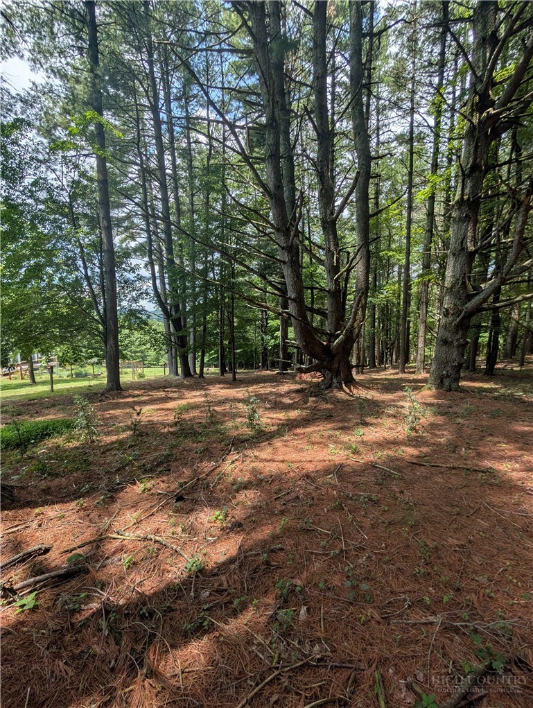 Doell Lane, Unit 20 Sparta, NC 28675 - Photo 18 of 18