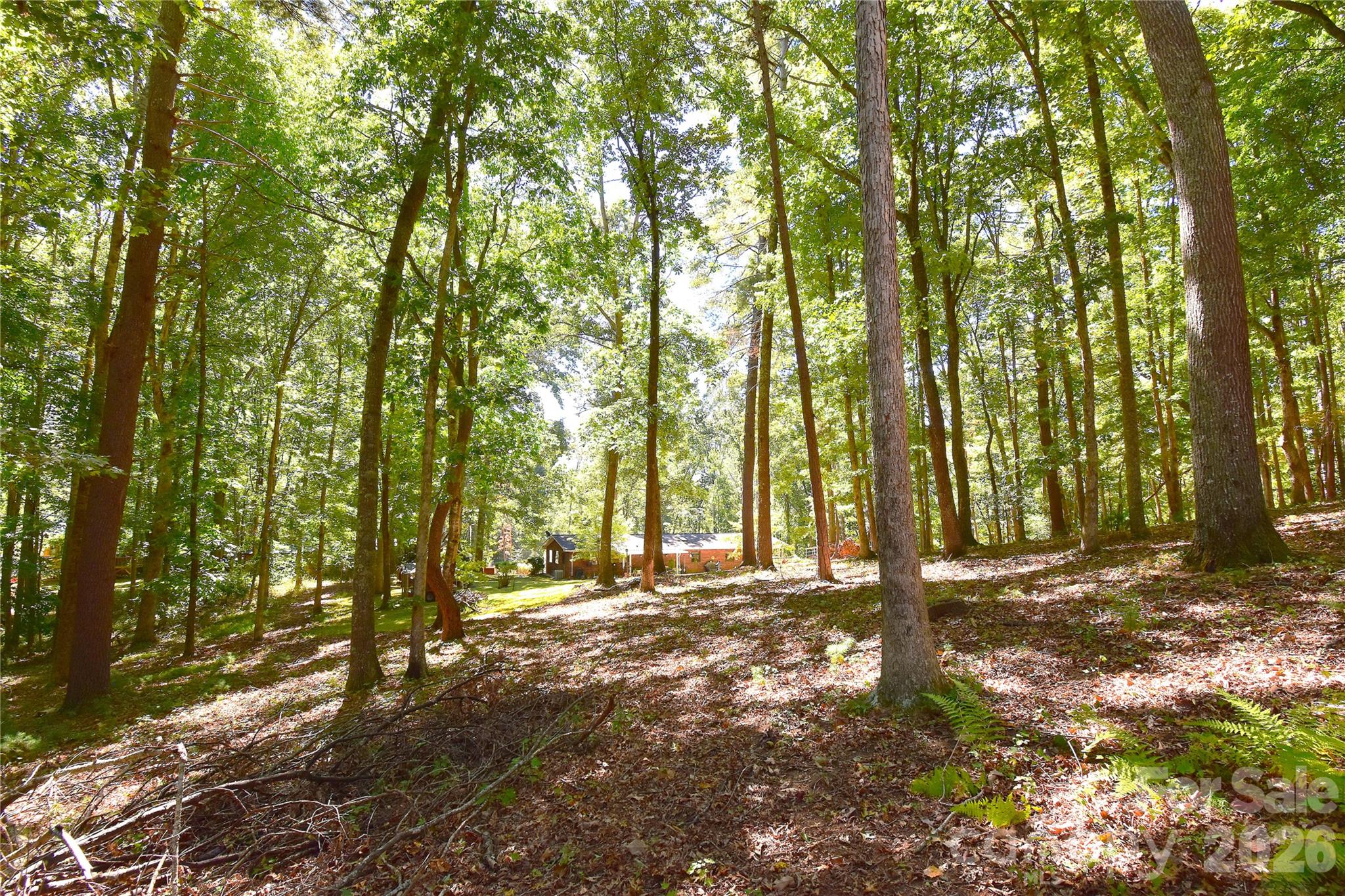 39 Maynard Road Candler, NC 28715 - Photo 40 of 43 Gallery Image 40