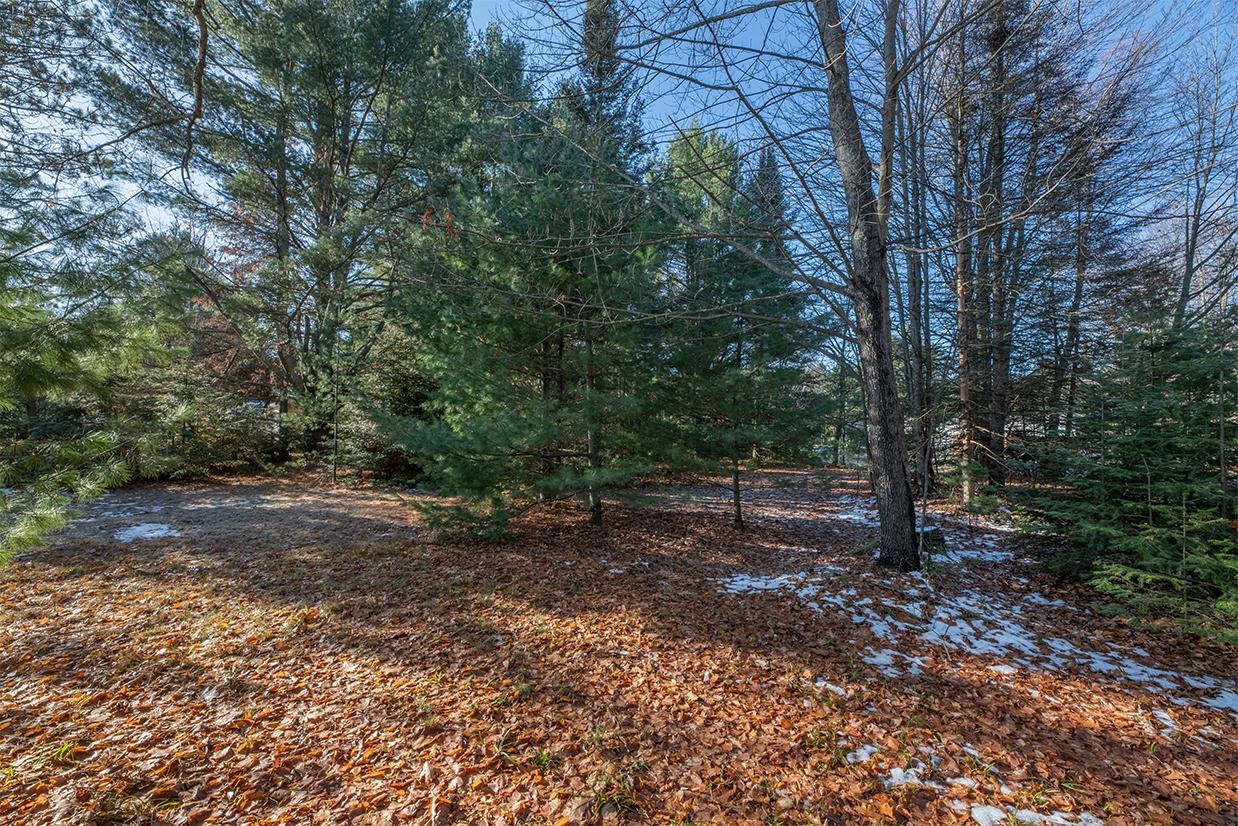 Three Eagle Road, Unit LOT 16 Eagle River, WI 54521 - Photo 5 of 16 Gallery Image 5